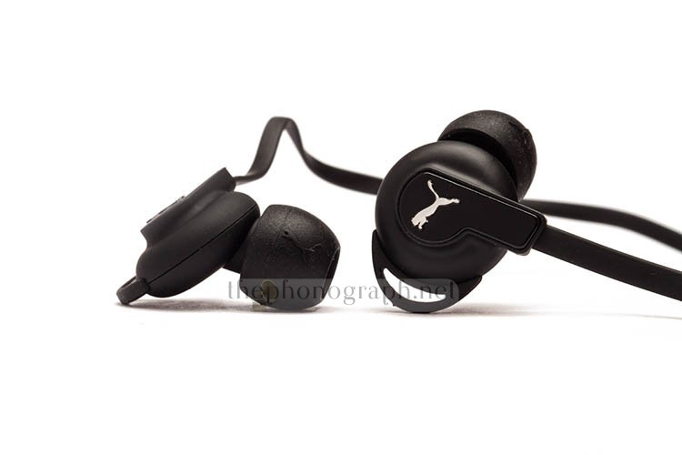 Puma Bulldogs Review ThePhonograph