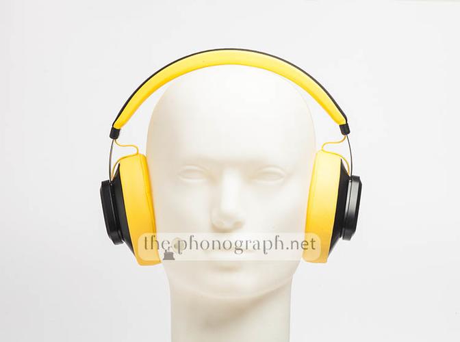 Bluedio TM T Monitor